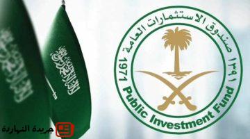 أصول صندوق الاستثمارات العامة 18 بنهاية 2024.jpgw800q100fjpg
