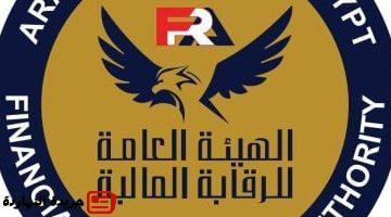 المالية قيد 7 متعاملين جدد فى الأدوات المالية الحكومية