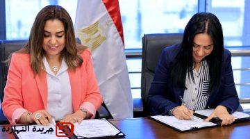 تعاون بين التضامن والتنمية المحلية لدعم مشروع أيادي مصر