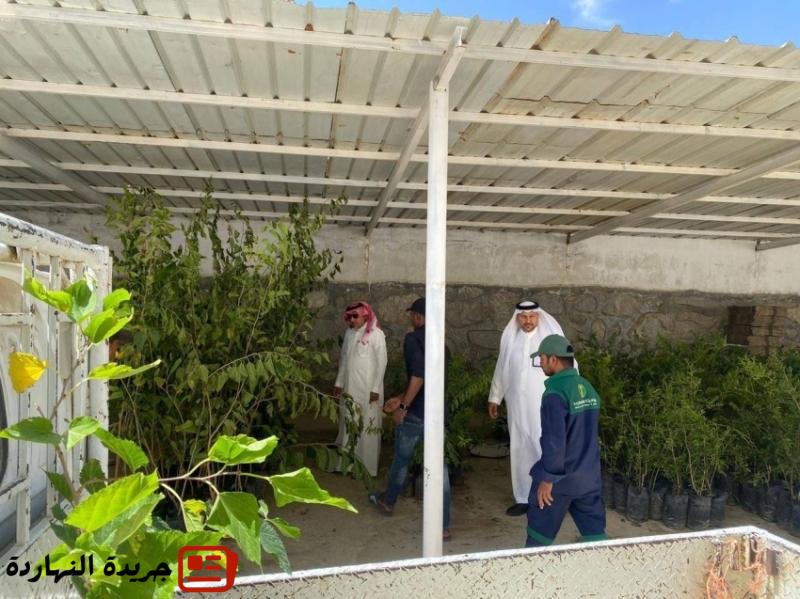 “بيئة بني مالك” توزع 5000 شتلة لتعويض المتضررين من الحرائق في ميسان
