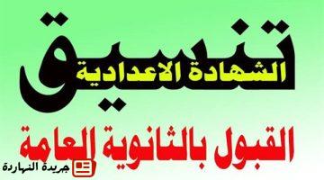 الثانوي العام 2025 في القاهرة والجيزة و10 محافظات