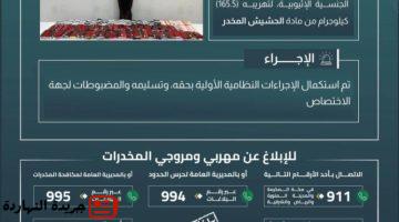 الحدود بجازان يقبض على مخالف لتهريبه 1655 كيلوجرامًا من.jpgw800q100fjpg