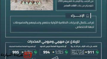 الحدود بعسير يقبض على 10 مخالفين لتهريبهم 200 كيلوجرام.jpgw800q100fjpg