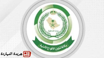 الأفواج الأمنية بجازان تُحبط تهريب 198 كيلوجرامًا من نبات.jpgw800q100fjpg