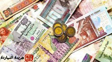 جهاز التنظيم والإدارة يصدر قرار ترقية الموظفين بالجهاز الإداري