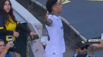الجماهير وانفعال إنريكي أبرز لقطات مباراة باريس وبوتافوجو صور.webp