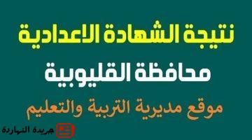 رسميًا رابط نتيجه الصف الثالث الاعدادي محافظه القليوبيه استعلم