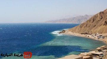للفنادق تحويل مبنى عمر أفندي الحجاز إلى فندق 4