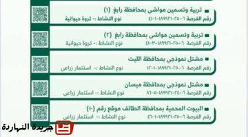 مكة المكرمة تطرح فرصًا استثمارية واعدة في القطاعين الزراعي.jpegw800q100fjpg
