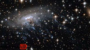 ويب يرصد مجرة ​​قنديل البحر المحتملة على بعد 12