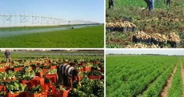 680 ألف عميل حصلوا على تمويلات متناهية الصغر لمشروعات زراعية بـ15.5 مليار جنيه