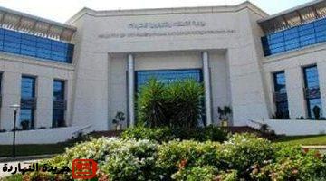 Digitopia مبادرة وطنية لاكتشاف المبدعين الرقميين في مصر