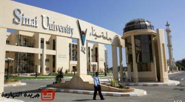 أخبار مصر : 
                                جامعة سيناء تحصل على شهادة “الأيزو” في إدارة الجودة