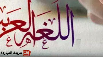 أخبار مصر : 
                                قطع إملاء للصف الرابع الابتدائي 2025-2026