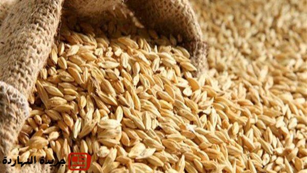 أخر خبر : أسعار الأرز الشعير اليوم الخميس 7 أغسطس 2025.. حركة هادئة في الأسواق 5 أخر خبر : أسعار الأرز الشعير اليوم الخميس 7 أغسطس 2025.. حركة هادئة في الأسواق