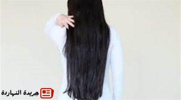 أخر خبر : تفسير الشعر الطويل في المنام للعزباء لابن سيرين