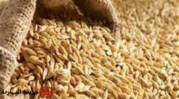 الأرز الشعير اليوم السبت 2 أغسطس 2025