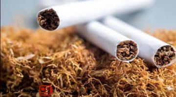 أسعار السجائر اليوم بعد آخر زيادة رسميًا.. قائمة كاملة بالتفاصيل