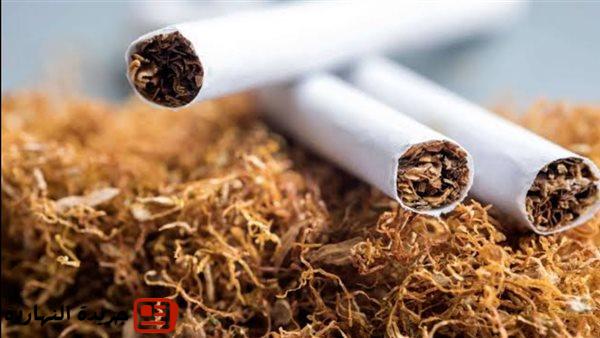 أسعار السجائر اليوم بعد آخر زيادة رسميًا.. قائمة كاملة بالتفاصيل 5 أسعار السجائر اليوم بعد آخر زيادة رسميًا.. قائمة كاملة بالتفاصيل