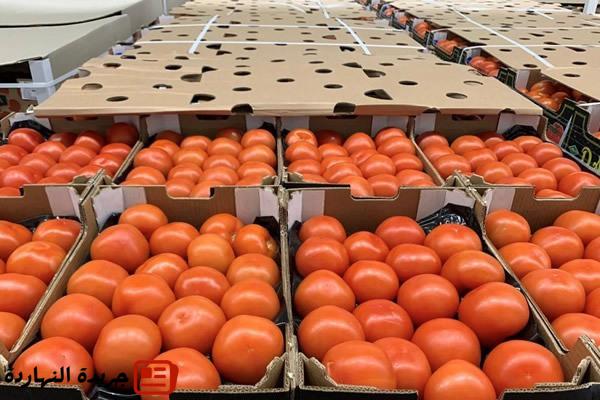 إقتصاد: بكلفة 115 مليون يورو.. الطماطم المغربية “تغزو” الأسواق الإسبانية