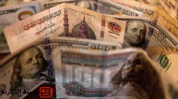 إقتصاد : 
                                هل يواصل الدولار هبوطه وصولًا إلى 41 جنيهًا؟.. خبير اقتصادي يجيب