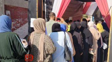 انتهاء التصويت في انتخابات الشيوخ وبدء فرز الأصوات