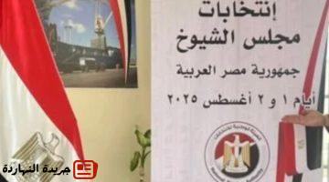 تصويت الخارج في 5 سفارات بانتخابات الشيوخ 2025