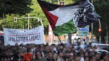اعترافها بـ فلسطين مالطا تحذر جماهير مكابي تل أبيب