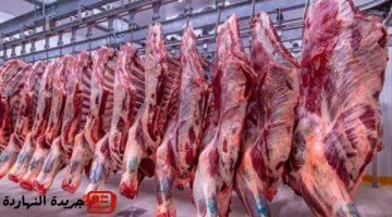 شعبة القصابين انخفاض أسعار اللحوم 20 بعد العيد ودعم