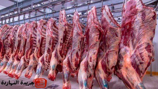 رئيس شعبة القصابين: انخفاض أسعار اللحوم 20% بعد العيد ودعم حقيقي لصغار المربين
