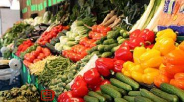 قفزات في الطماطم والكوسة واستقرار في الباذنجان..أسعار الخضروات في سوق العبور اليوم