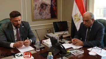 وزير الكهرباء: 80% من العمالة في محطة الضبعة النووية مصرية