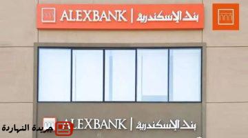بنك الإسكندرية 2025 الشروط وكيفية التقديم