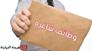 وظائف حكومية 2025.. الشروط والتقديم عبر هذا الرابط